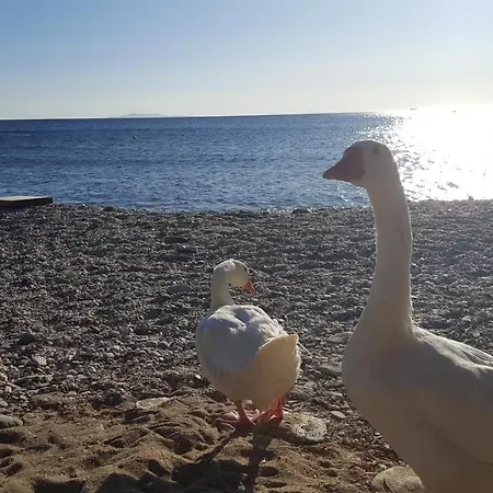 Sea And Sun House Σπίτι διακοπών *